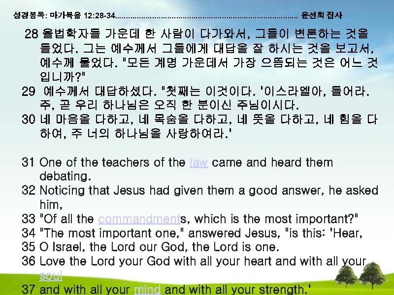 성경봉독: 마가복음 12: 28 -34. . . . . . 윤선희 집사 28 율법학자들