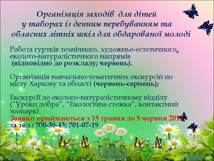 Організація заходів для дітей у таборах із денним перебуванням та обласних літніх шкіл для