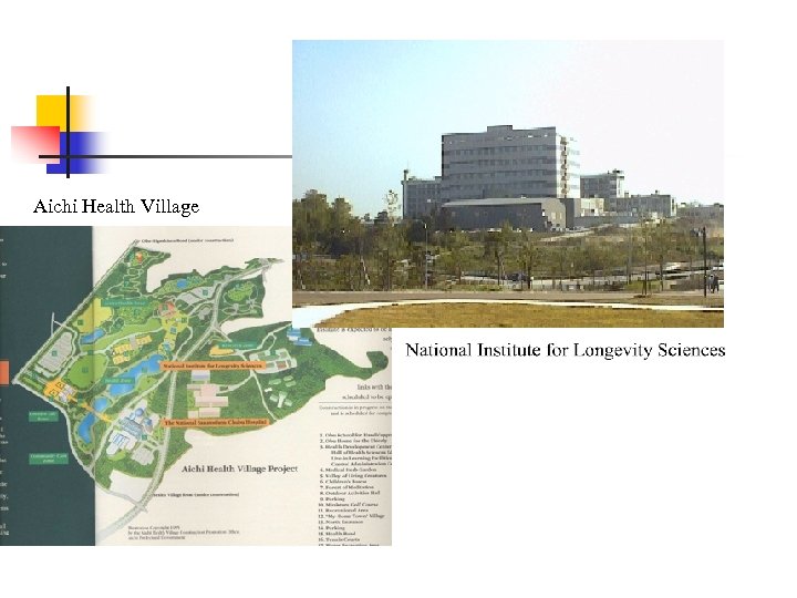 Aichi Health Village 