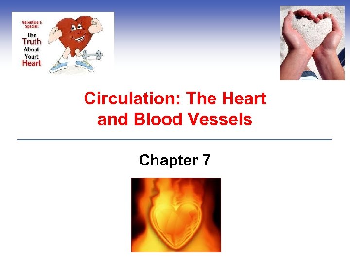 Circulation: The Heart and Blood Vessels Chapter 7 