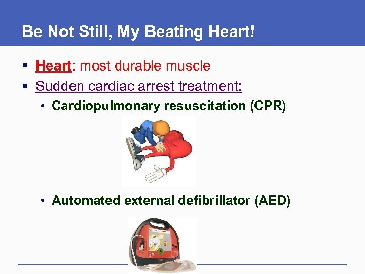 Be Not Still, My Beating Heart! § Heart: most durable muscle § Sudden cardiac