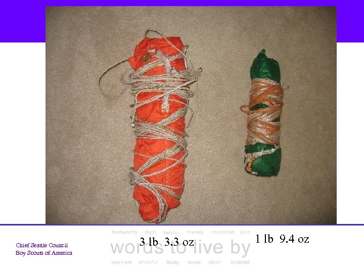 Chief Seattle Council Boy Scouts of America 3 lb 3. 3 oz 1 lb