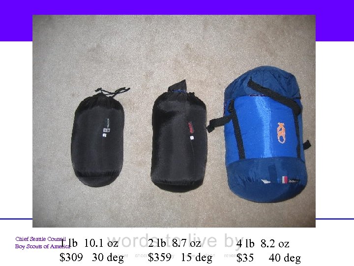 Chief Seattle Council Boy Scouts of America 1 lb 10. 1 oz $309 30