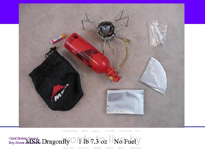 Chief Seattle Council Boy Scouts of America MSR Dragonfly 1 lb 7. 3 oz