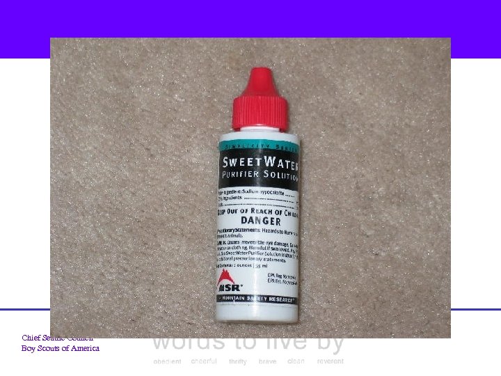 Chief Seattle Council Boy Scouts of America 