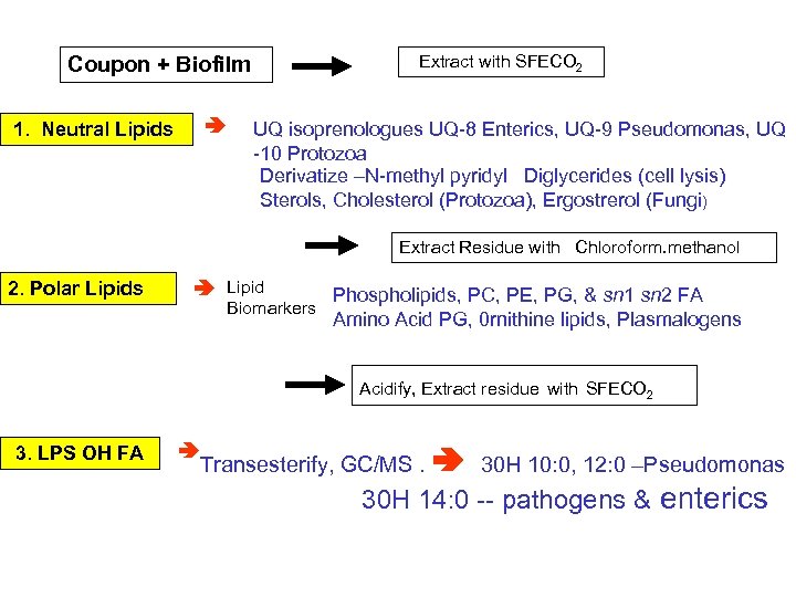 Extract with SFECO 2 Coupon + Biofilm 1. Neutral Lipids UQ isoprenologues UQ-8 Enterics,