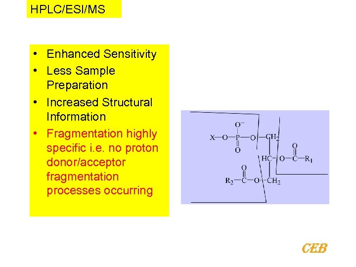 HPLC/ESI/MS • Enhanced Sensitivity • Less Sample Preparation • Increased Structural Information • Fragmentation