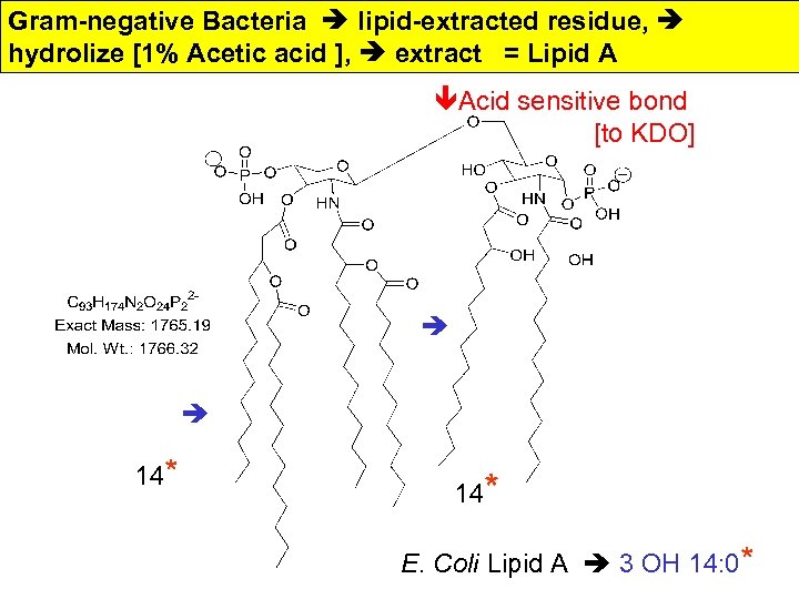 Gram-negative Bacteria lipid-extracted residue, hydrolize [1% Acetic acid ], extract = Lipid A êAcid