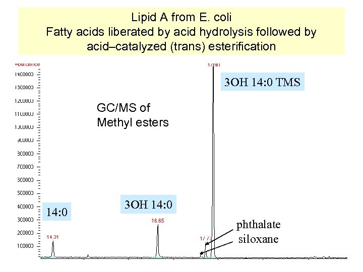 Lipid A from E. coli Fatty acids liberated by acid hydrolysis followed by acid–catalyzed