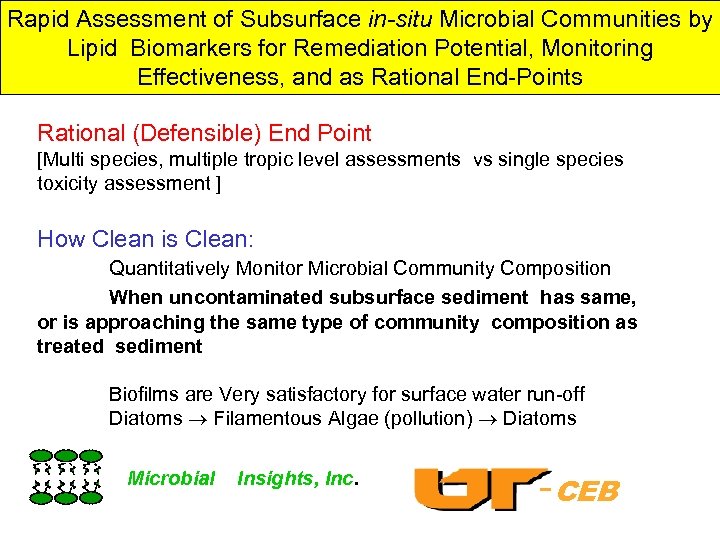 Rapid Assessment of Subsurface in-situ Microbial Communities by Lipid Biomarkers for Remediation Potential, Monitoring