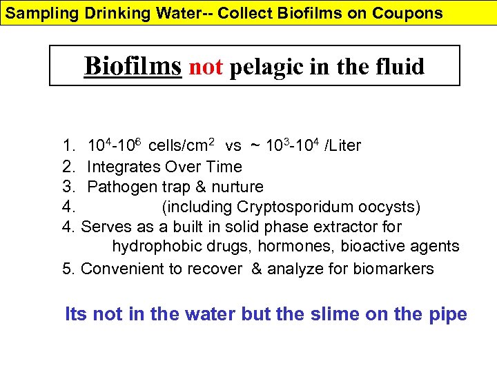 Sampling Drinking Water-- Collect Biofilms on Coupons Biofilms not pelagic in the fluid 1.