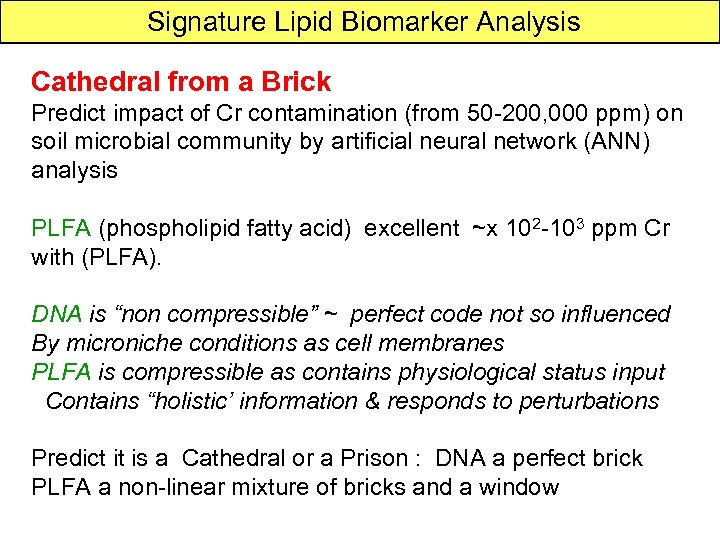 Signature Lipid Biomarker Analysis Cathedral from a Brick Predict impact of Cr contamination (from