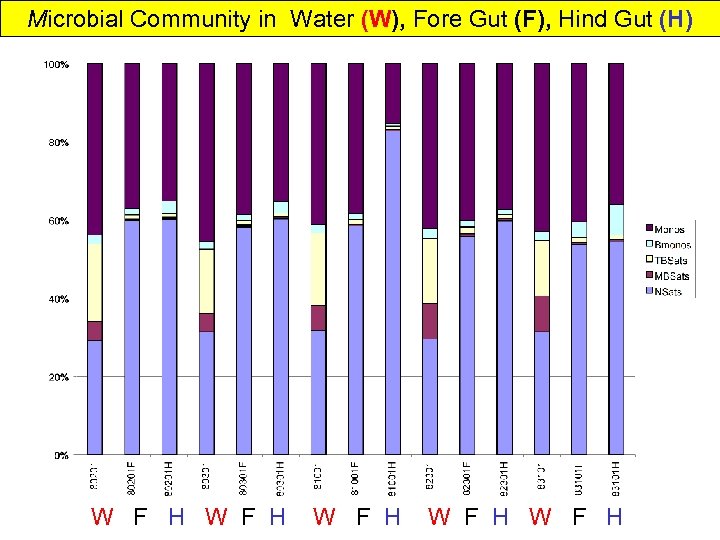 Microbial Community in Water (W), Fore Gut (F), Hind Gut (H) W F H