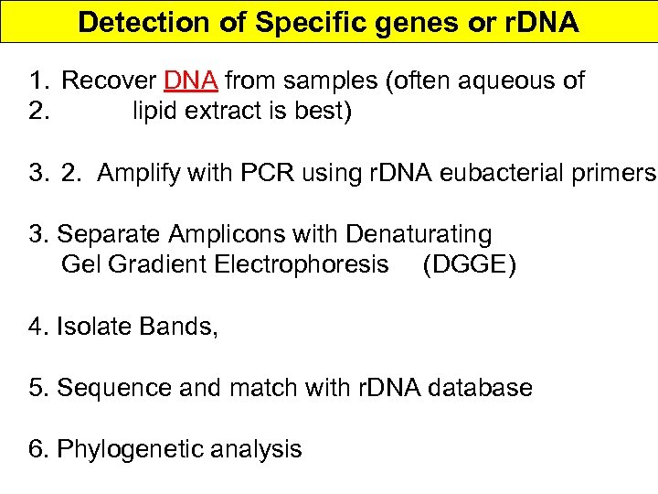 Detection of Specific genes or r. DNA 1. Recover DNA from samples (often aqueous