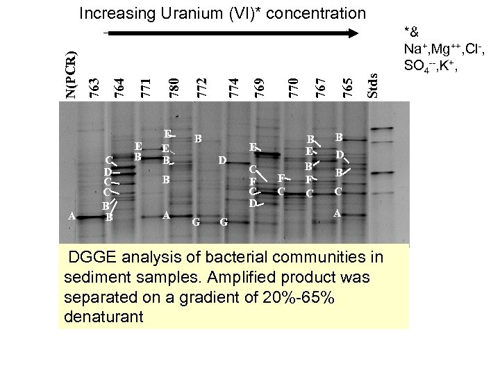A C D C C B B E E B B D G G