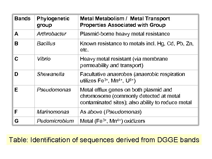 Bands Phylogenetic group Metal Metabolism / Metal Transport Properties Associated with Group A Arthrobacter