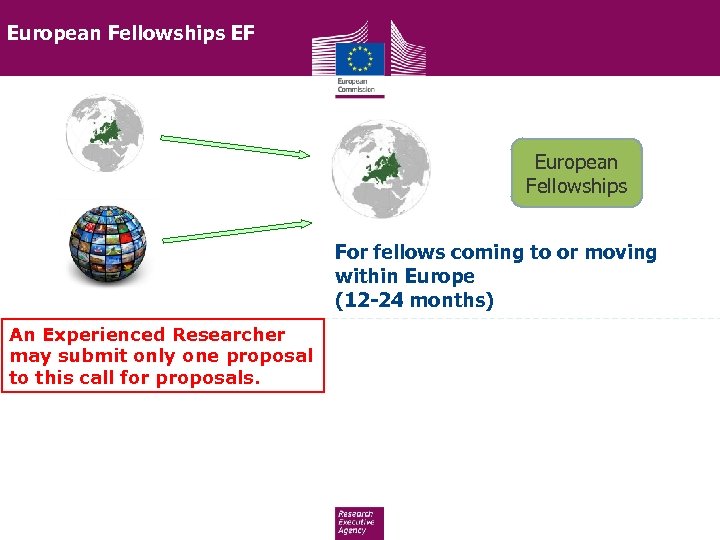 European Fellowships EF European Fellowships For fellows coming to or moving within Europe (12