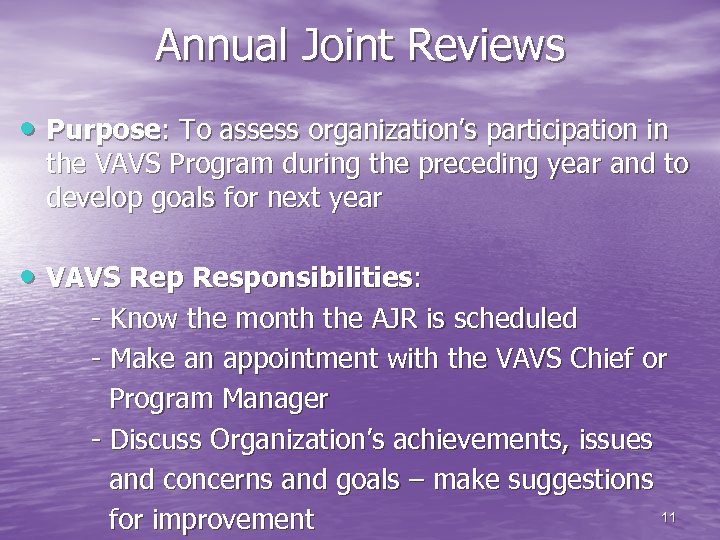Annual Joint Reviews • Purpose: To assess organization’s participation in the VAVS Program during