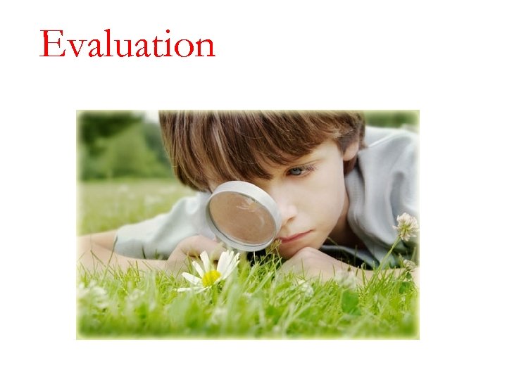 Evaluation 