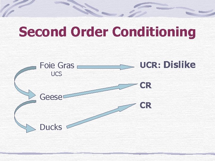 Second Order Conditioning Foie Gras UCR: Dislike UCS CR Geese Ducks CR 