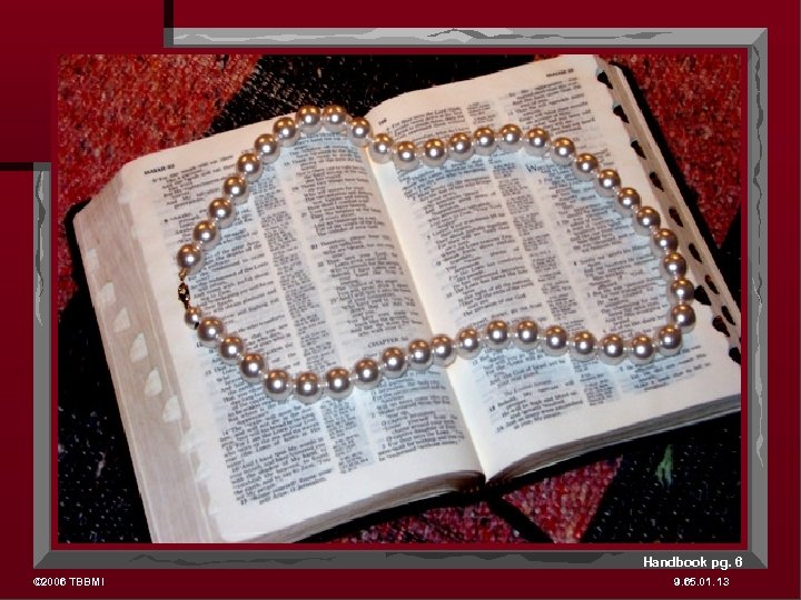 Handbook pg. 6 © 2006 TBBMI 9. 65. 01. 13 