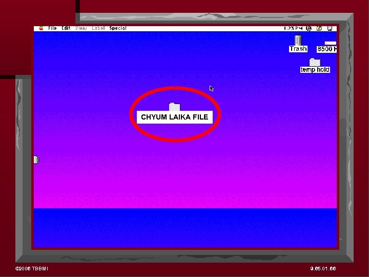 CHYUM LAIKA FILE © 2006 TBBMI 9. 65. 01. 66 