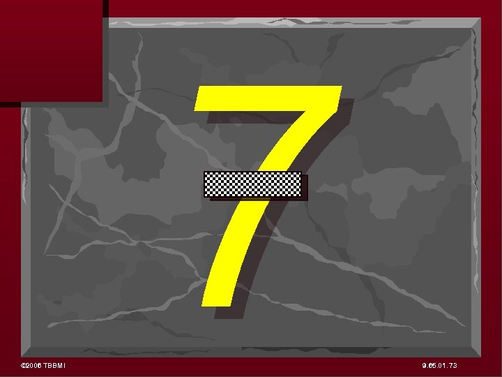 © 2006 TBBMI 7 9. 65. 01. 73 