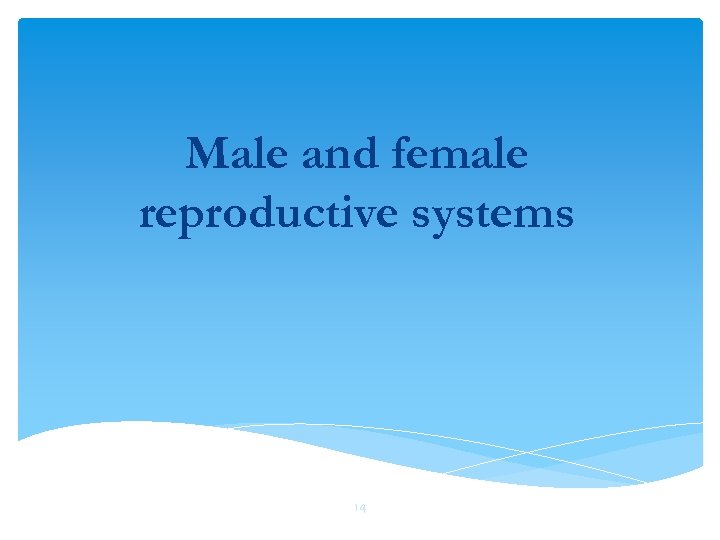 Male and female reproductive systems 14 