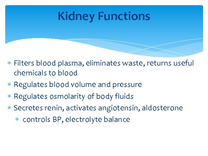 Kidney Functions Filters blood plasma, eliminates waste, returns useful chemicals to blood Regulates blood