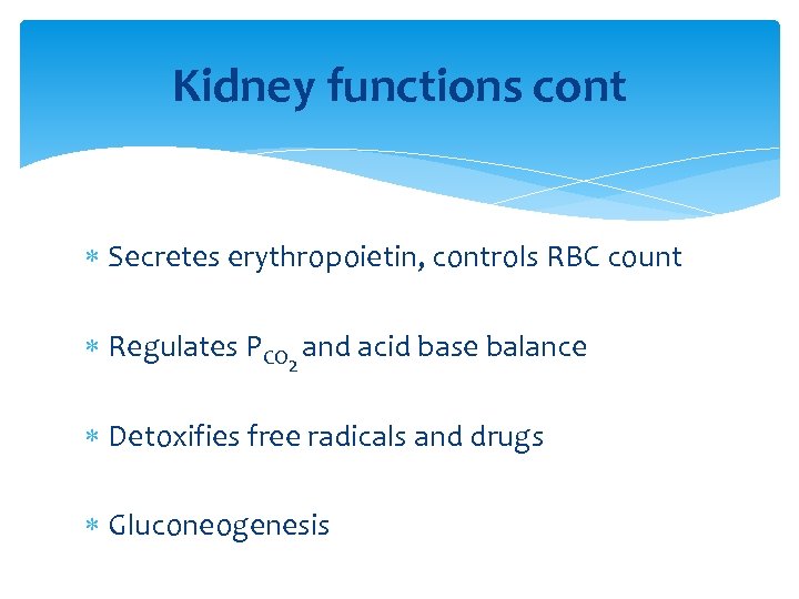 Kidney functions cont Secretes erythropoietin, controls RBC count Regulates PCO 2 and acid base