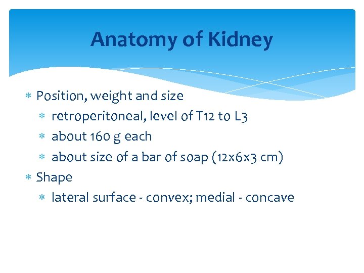 Anatomy of Kidney Position, weight and size retroperitoneal, level of T 12 to L