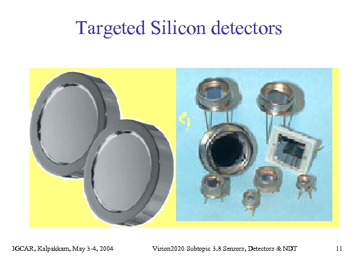 Targeted Silicon detectors IGCAR, Kalpakkam, May 3 -4, 2004 Vision 2020 Subtopic 3. 8