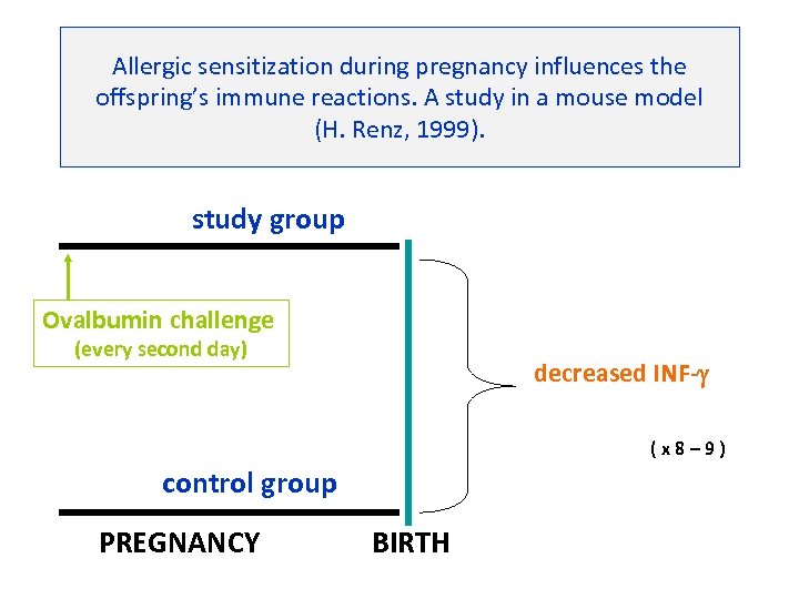 Allergic sensitization during pregnancy influences the offspring’s immune reactions. A study in a mouse