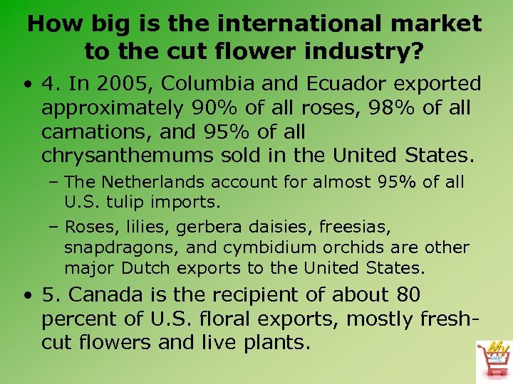 How big is the international market to the cut flower industry? • 4. In
