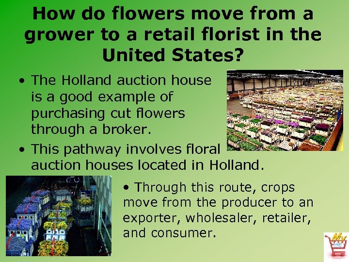 How do flowers move from a grower to a retail florist in the United
