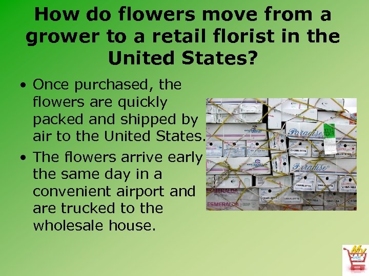 How do flowers move from a grower to a retail florist in the United
