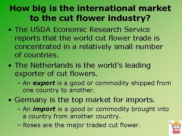 How big is the international market to the cut flower industry? • The USDA
