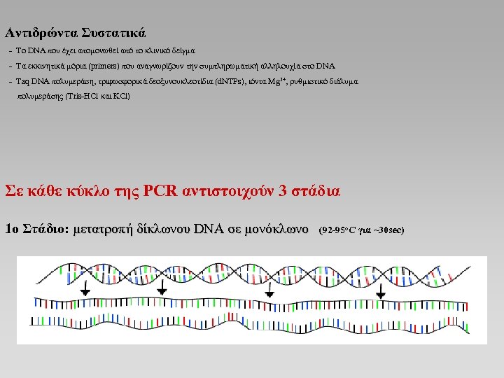 Αντιδρώντα Συστατικά - Το DNA που έχει απομονωθεί από το κλινικό δείγμα - Τα