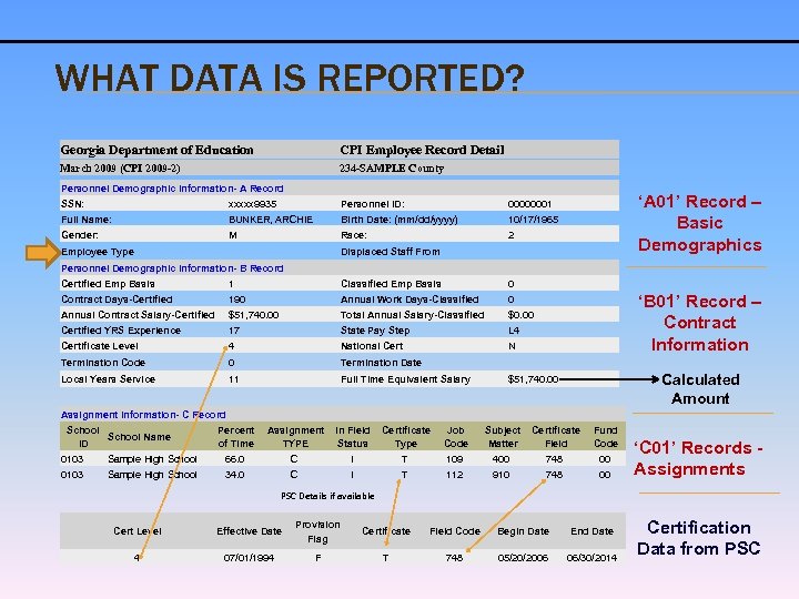 WHAT DATA IS REPORTED? Georgia Department of Education CPI Employee Record Detail March 2009