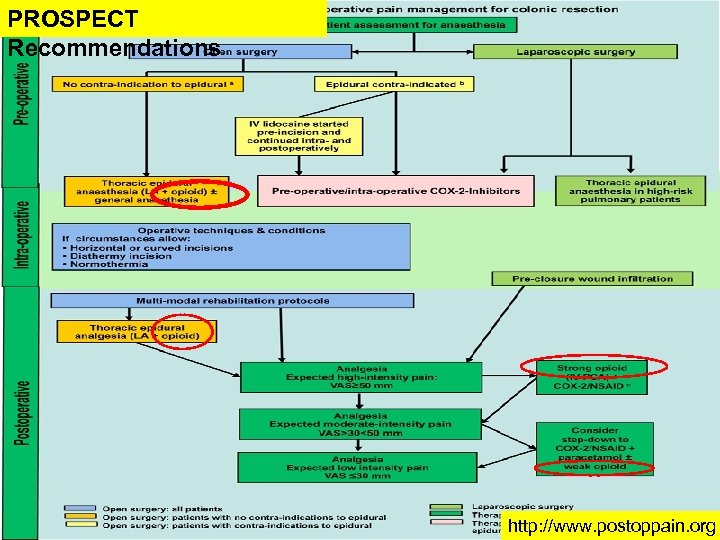 PROSPECT Recommendations http: //www. postoppain. org 