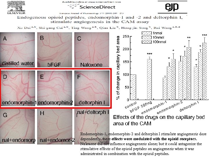 distilled water b. FGF еndomorphin-1 endomorphin-2 Naloxone deltorphin I nal+deltorph I nal+endomorp nal+endomor-2 Effects