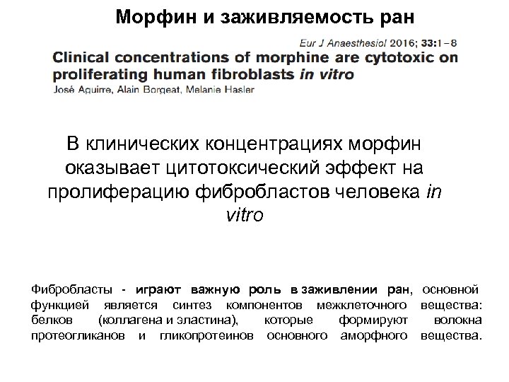 Морфин и заживляемость ран В клинических концентрациях морфин оказывает цитотоксический эффект на пролиферацию фибробластов