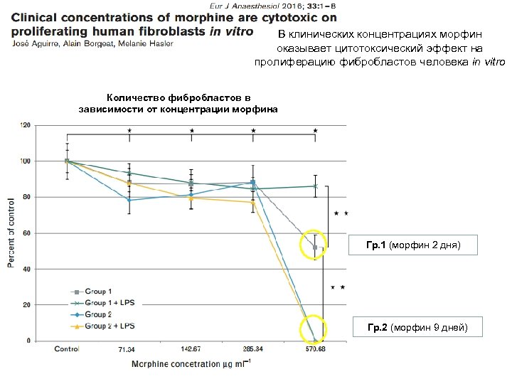 В клинических концентрациях морфин оказывает цитотоксический эффект на пролиферацию фибробластов человека in vitro Количество