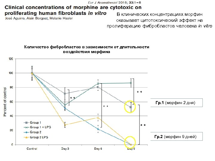 В клинических концентрациях морфин оказывает цитотоксический эффект на пролиферацию фибробластов человека in vitro Количество
