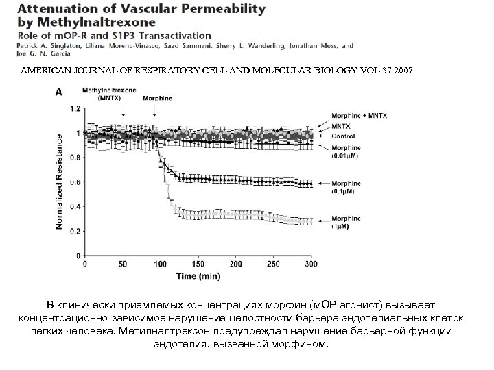 AMERICAN JOURNAL OF RESPIRATORY CELL AND MOLECULAR BIOLOGY VOL 37 2007 В клинически приемлемых