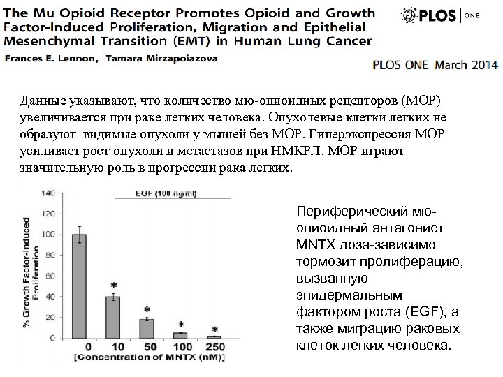 Данные указывают, что количество мю-опиоидных рецепторов (МОР) увеличивается при раке легких человека. Опухолевые клетки