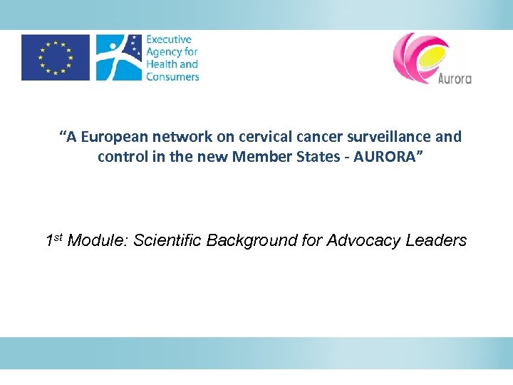“A European network on cervical cancer surveillance and control in the new Member States