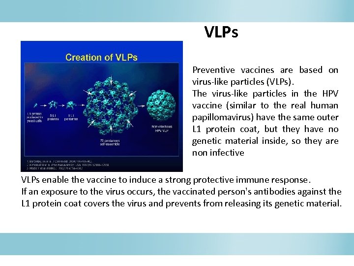 VLPs Preventive vaccines are based on virus-like particles (VLPs). The virus-like particles in the