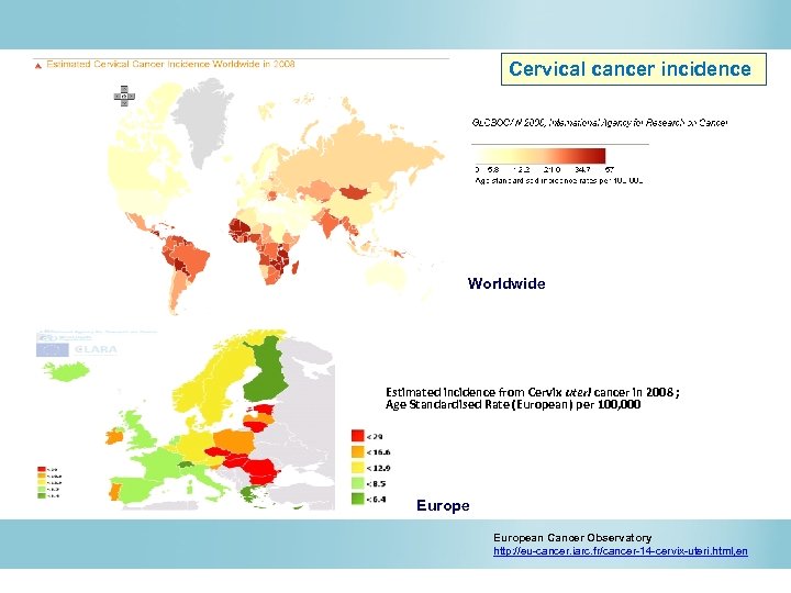 Cervical cancer incidence Worldwide Estimated incidence from Cervix uteri cancer in 2008 ; Age