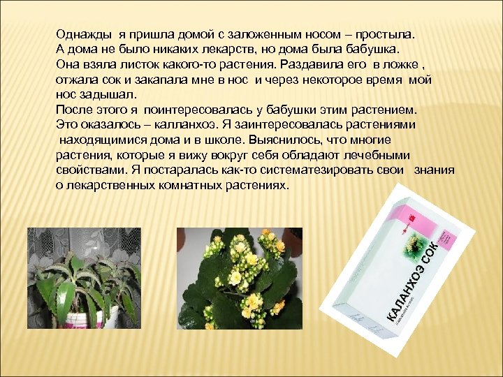 Однажды я пришла домой с заложенным носом – простыла. А дома не было никаких